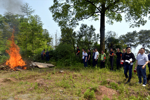 森林防火基本知識(shí)