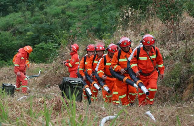 廣東進入森林防火特別防護期 普及推廣&ldquo;防火碼&rdquo;新技術(shù)