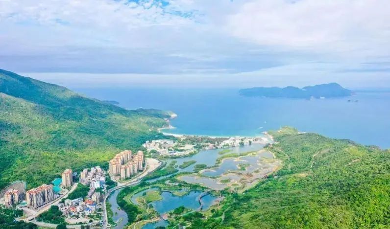 即將對外開放！深圳大鵬新建一紅樹林濕地公園